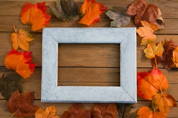 Overhead view of frame amidst autumn leaves