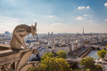 Naklejka na ściany i meble Paris France