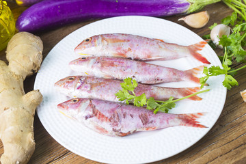 Red Mullet fish