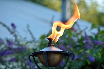 closeup photo of a backyard patio torch