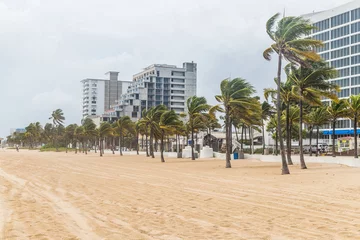 Photo sur Aluminium brossé Orage Palm trees blowing in the winds at the Fort Lauderdale beach before catastrophic hurricane Irma