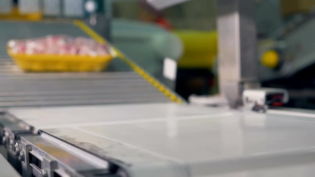 Focused chicken meat trays move on a blurred conveyor line. 