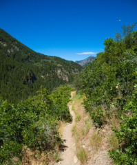 Mountain Trail