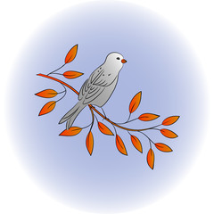 vector color illustration of birds 