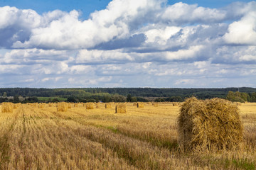 Straw bales with blue cloudy sky