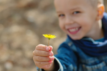 Yellow dandelion flower in the hand of a happy little boy