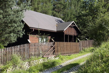 Fototapeta na wymiar Old wooden house in forest.