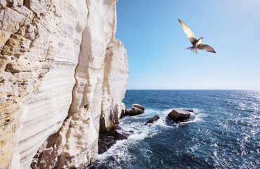 Rosh Hanikra Cliff near Israeli- Lebanese Border