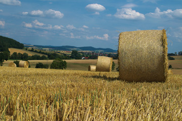 Fototapeta premium Naturlandschaft