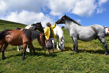 A woman hiker admiring herd of wild horses on pasture high in Rila Mountains, Bulgaria