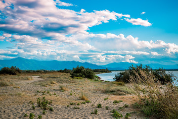 Au bord de l'étang de Canet-Saint-Nazaire