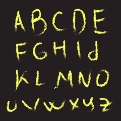 Vector alphabet. Hand drawn letters. Letters of the alphabet written with a brush