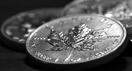 Maple Leaf Silberm&uuml;nze