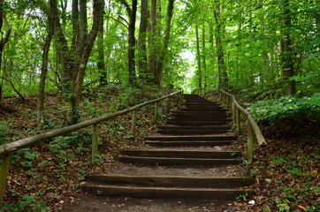 Saarland Trier