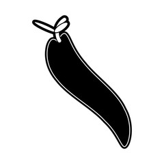 flat line monocromatic chili  pepper  over white  background  vector illustration