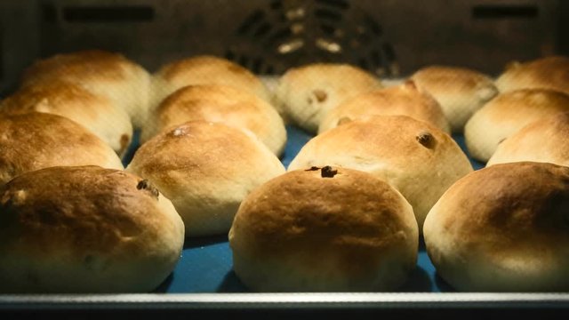 Time Lapse. Preparation of buns with raisins in an electric oven