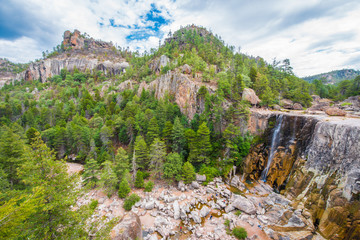 View of the forest and waterfall