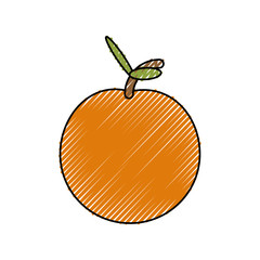 colorful orange doodle  over white background  vector illsutration