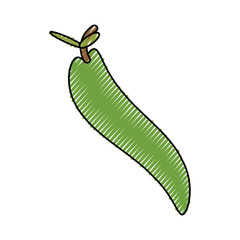 colorful chili  pepper  doodle  over white  background  vector illustration