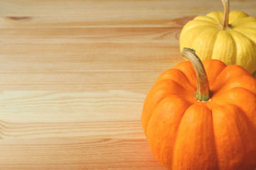 Pair of bright yellow and orange color ripe pumpkins with stem on light brown wooden table, with free space for design and text  