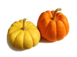 Pair of Vibrant Color Ripe Pumpkins with Stem Isolated on White Background 