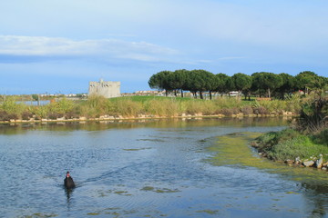 Le Parc du Levant à Palavas-les-Flots, France
