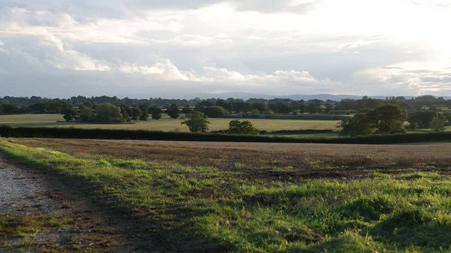Rural autumnal landscape with brown mowed wheat field, Tarvin, Cheshire, England, UK. Overcast sky with mountains and trees in background.