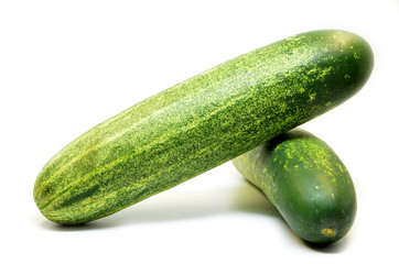 Fresh green cucumber