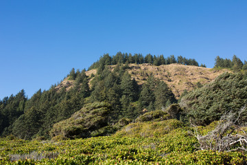 Fototapeta na wymiar View of the Oregon Coast Line