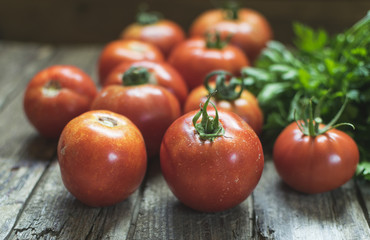 Group of fresh red tomatoes and parsley on wooden table. Selective focus, frontal view