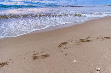 blue waves crashing on the shore with shells and footprints in the sand on a summer morning