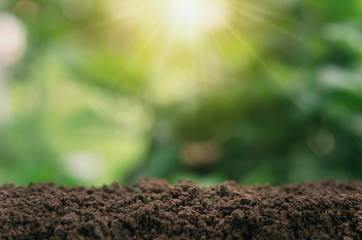 soil for planting with green blur and sunlight background