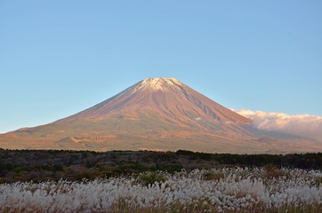 富士山