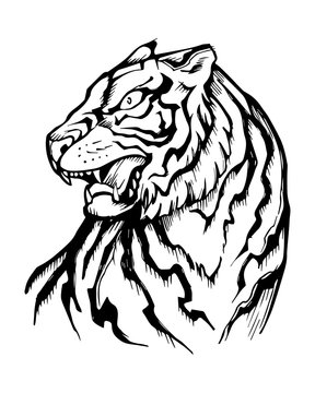 Hand drawn japanese traditional tiger illustration