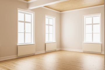 Room with Linear Wood Ceiling and Radiator Detail