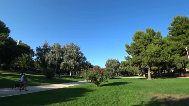 Walking summer park with beautiful green lawn and trees in Valencia Spain