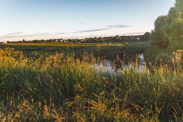 A rural landscape with a small pond overgrown with grass