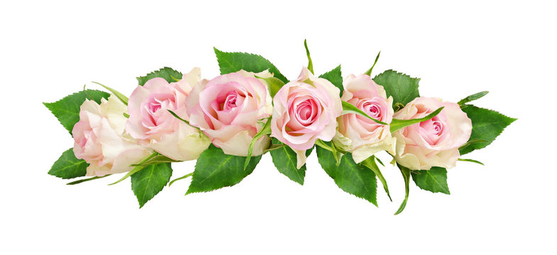 Beautiful white rose flowers line arrangement