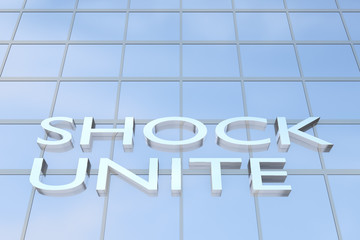 Shock Unit concept
