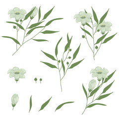 set of vintage vector floral element for wedding, anniversary, valentine, love, couple, party