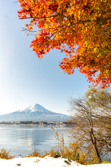 Mt. Fuji in autumn