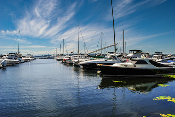 Marina Morning