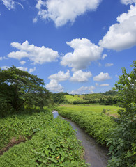 Fototapeta na wymiar Landscape Mountain and Small rivers flow through paddy fields and rural villages at Tawangpa District, Nan Province, Thailand.