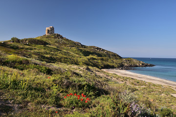 Fototapeta na wymiar Wachturm von Tharros auf Sardinien