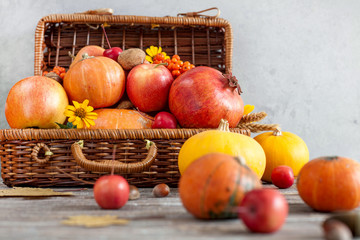 Autumn harvest pumpkins on wooden background