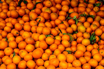 a lot of orange in tray