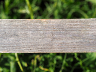 Old wooden board in sunlight on a  blurred background of green grass. Natural space for text or logo