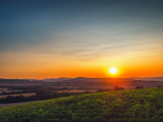 Beautiful Sunset over vineyard fields in Europe
