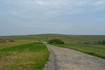 Road to Somewhere in Transylvania