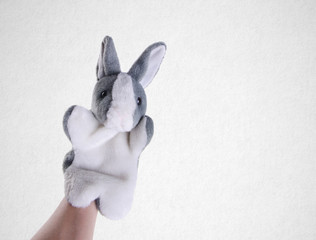 Puppet or Hand puppet on a background.